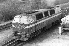DSB MZ 1408 (type I) photographed at the railwaystation in Fredericia October 1978.  The MZ class (type I and II) was purchased from 1967 to 1970 in a number of 26. Only a few of these engines remain in service by DSB - most are now sold to other companies. Built by NOHAB and Frichs. Dieselelectric. Co'Co'. 2270 kW - 3300 hp. Max speed 143 km/h - 89 mph. Length 20 800 mm. Weight 116,5 metric tonnes. MZ 1408 was from 2001 to 2002 leased to Railion. In 2002 MZ 1408 was sold to Banestyrelsen.